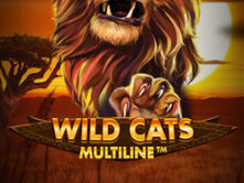 Wild Cats Multiline™
